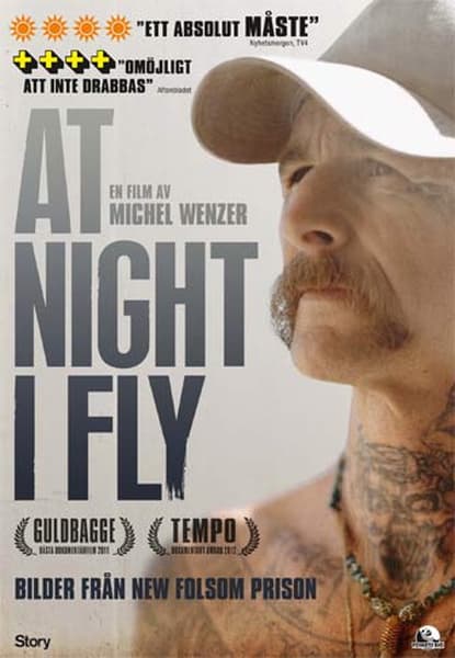 At night I fly