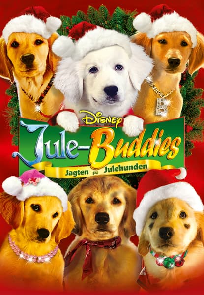 Jule-buddies: Jagten på julehunden
