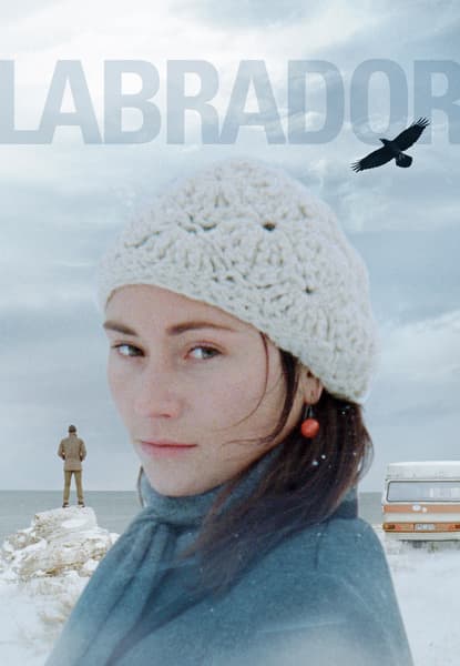 Labrador