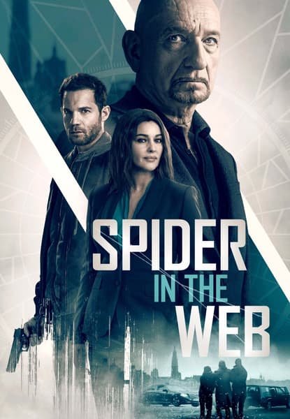 Spider In The Web