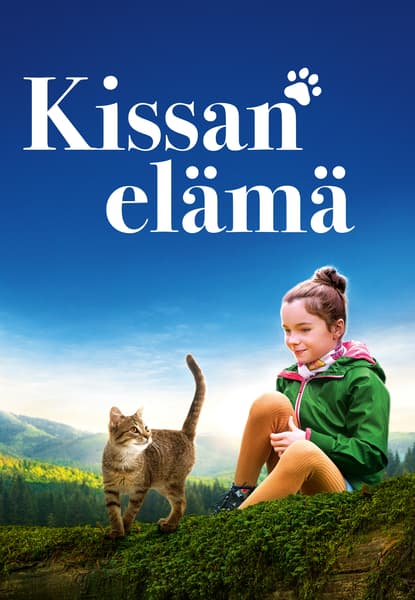 Kissan elämä