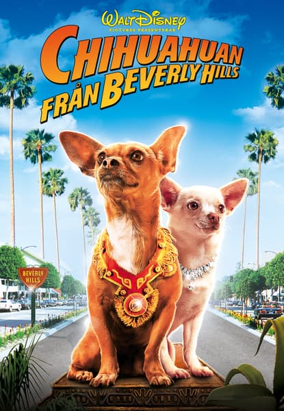 Beverly Hills Chihuahua