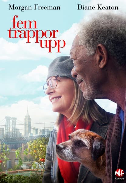 Fem trappor upp
