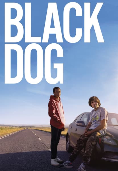 Black Dog