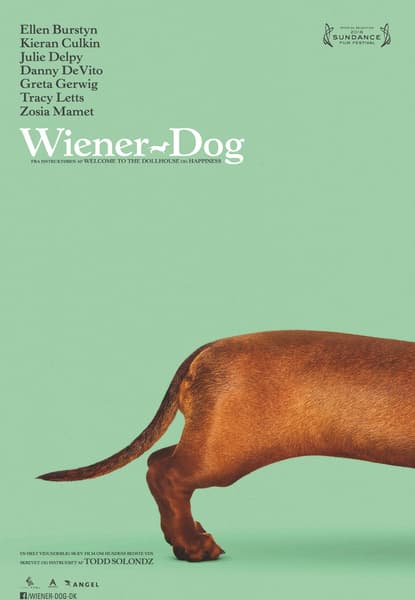 Wiener dog