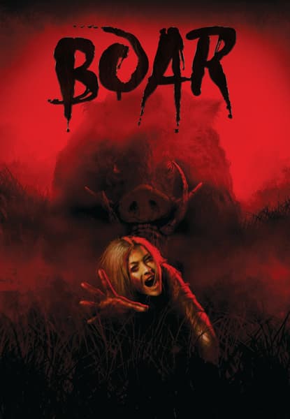Boar