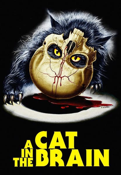 A Cat In The Brain