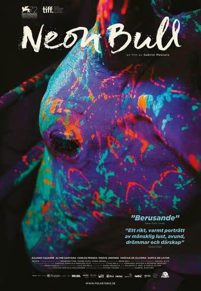 Neon Bull