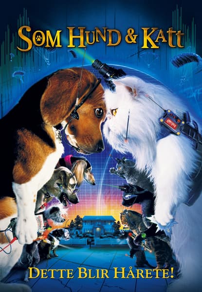 Som hund & katt