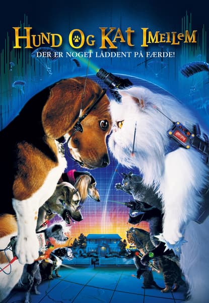 Hund og kat imellem