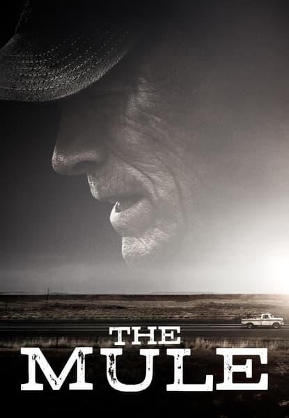 The Mule