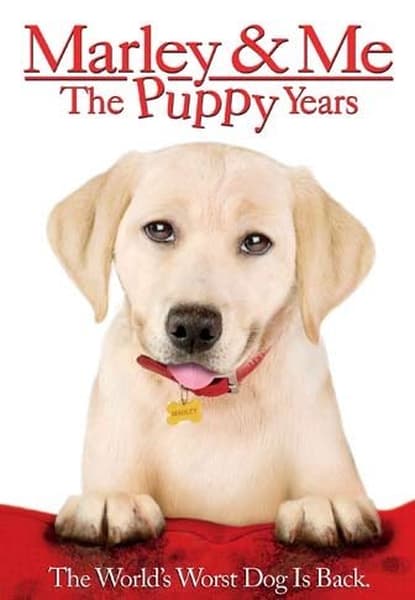 Marley & Me - De første hundeår