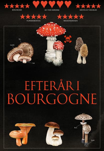 Efterår I Bourgogne