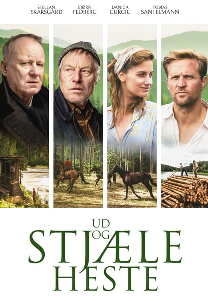 Ud og stjæle heste