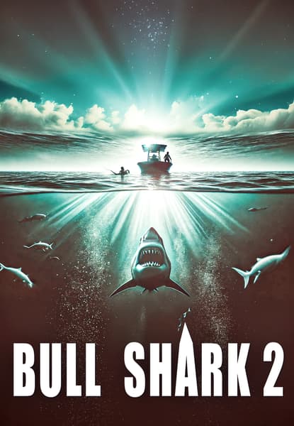 Bull Shark 2