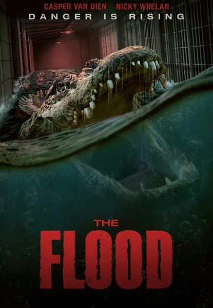 The Flood
