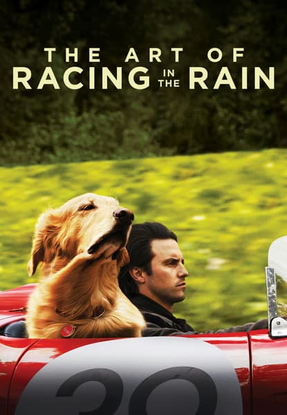 The Art of Racing in the Rain