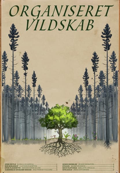 Organiseret vildskab