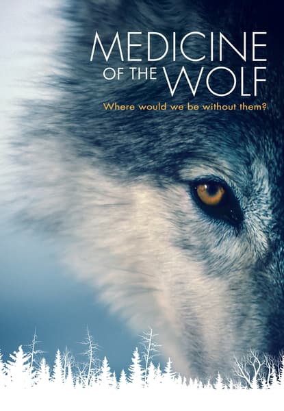 Medicine of the Wolf