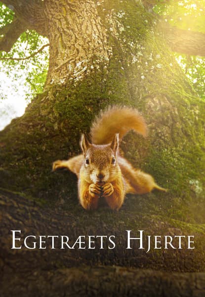 Egetræets hjerte