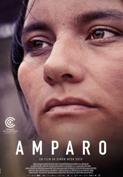 Amparo