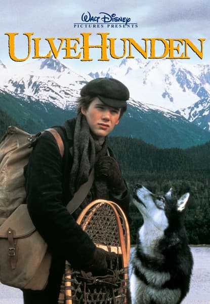 Ulvehunden