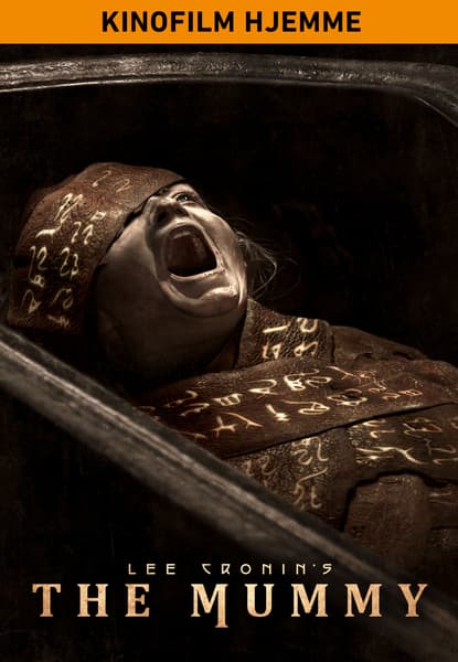Lee Cronin's the Mummy