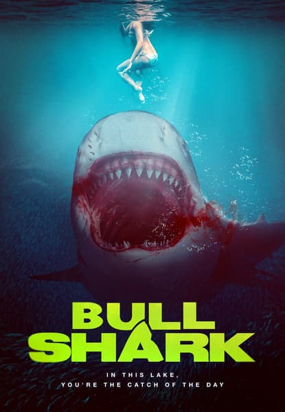 Bull Shark
