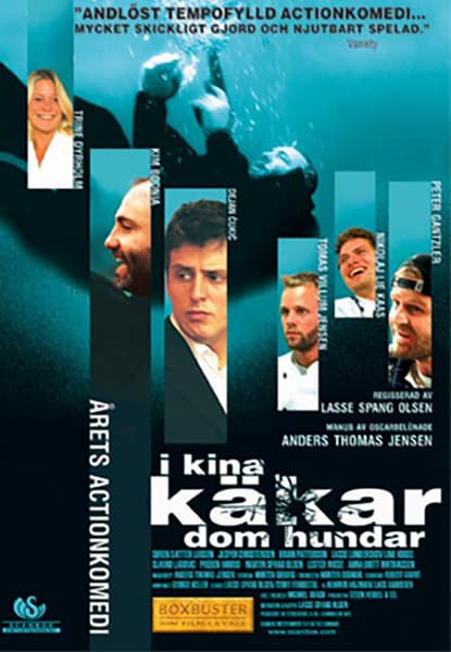 I Kina käkar dom hundar