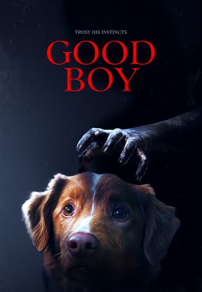 Good Boy