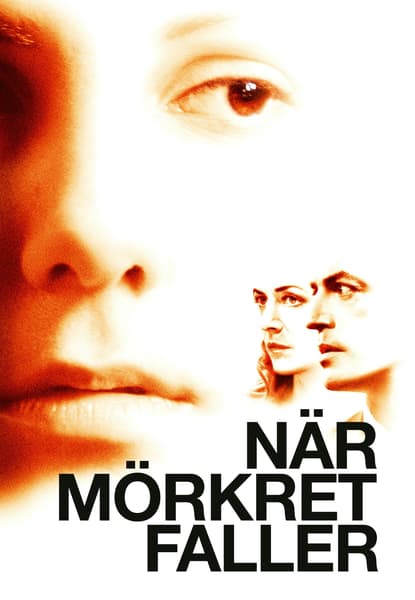 När mörkret faller