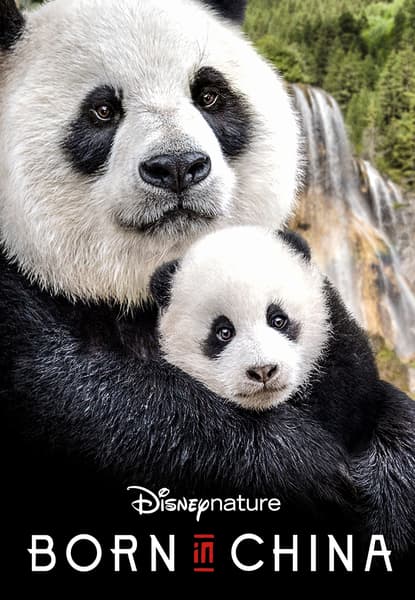 Born in China