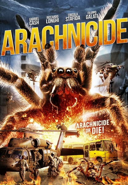 Arachnicide