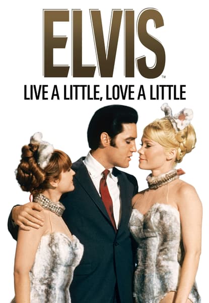 Live a Little, Love a Little