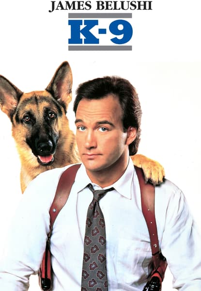 Hund og mand imellem