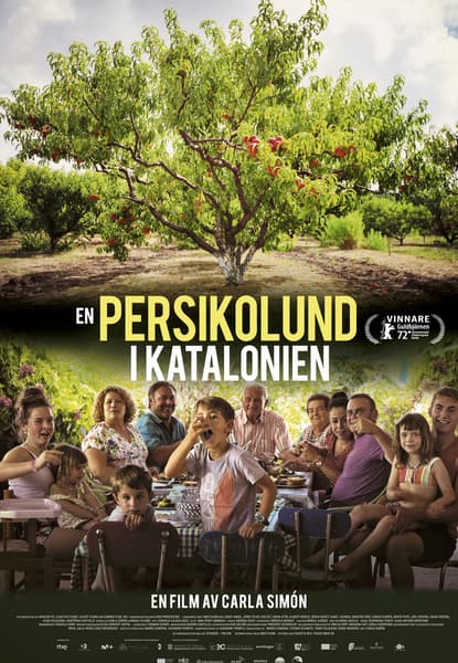 En persikolund i Katalonien