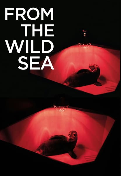 From the Wild Sea