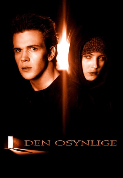 Den osynlige