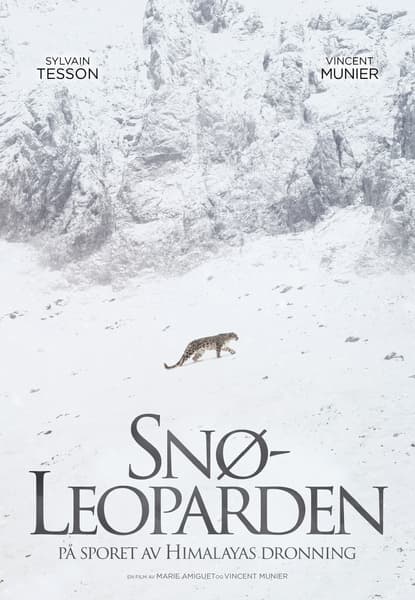 Snøleoparden