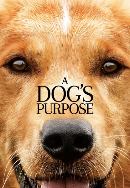 A Dog's Purpose