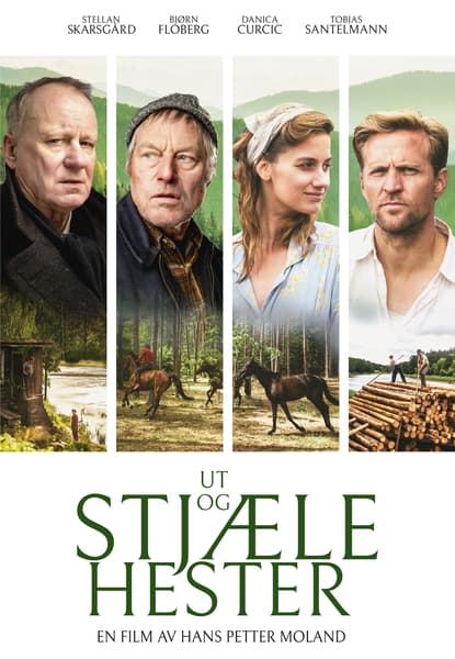 Ut og stjæle hester