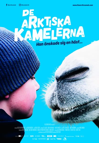 De arktiska kamelerna