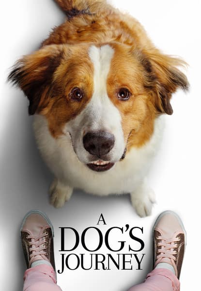 A Dog's Journey
