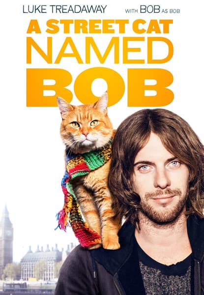 En gatekatt ved navn Bob