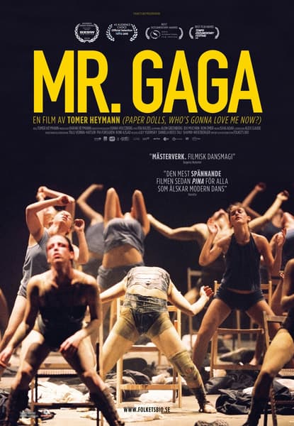 Mr. Gaga
