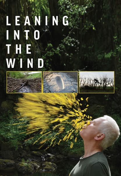 Leaning Into the Wind