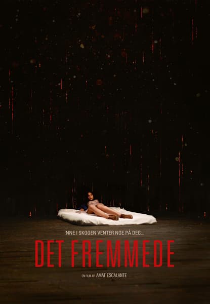 Det fremmede